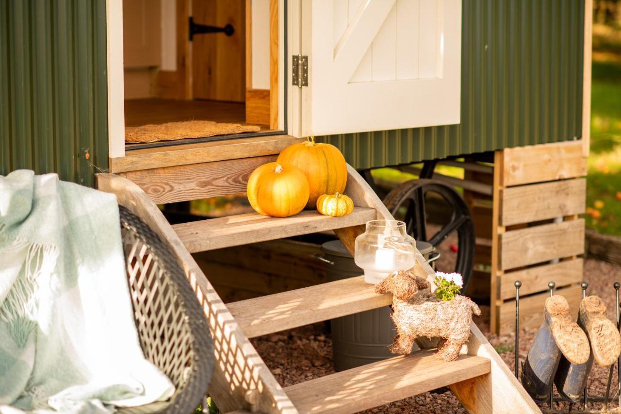 Harrys Hideout - Shepherd'S Huts At Harrys Cottages Pen-y-Clawdd Екстер'єр фото